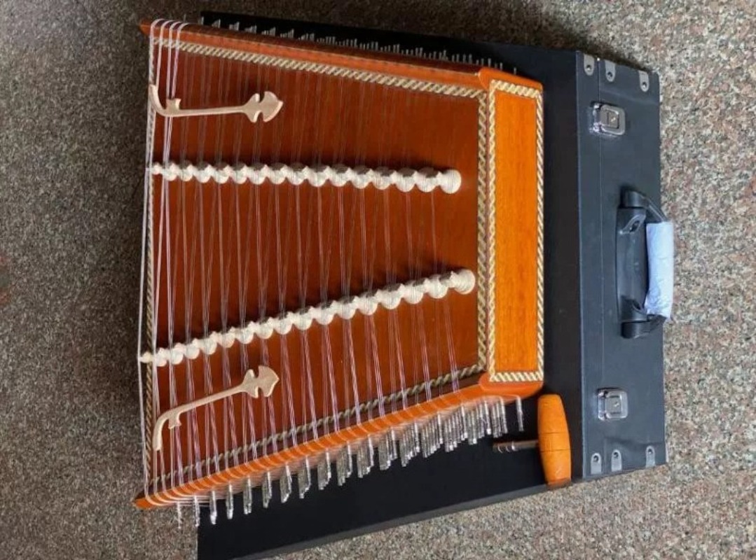Imported from India, Indian du - огляд і ціна Musical Instrument In India
