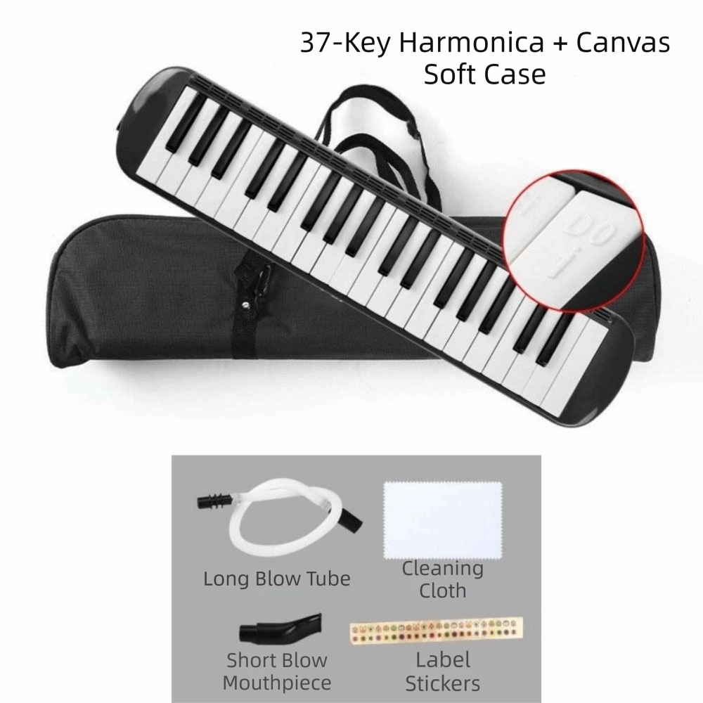37 Keys Melodica Instrument So - огляд і ціна Musical Instrument Melodica