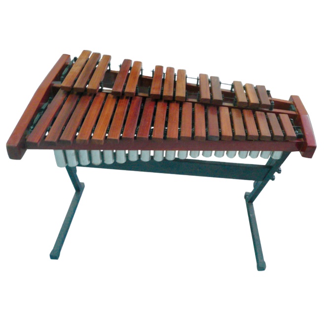 32 Tones Professional Xylophon - огляд і ціна Musical Instrument Xylophone
