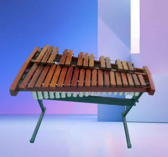 32 Tones Professional Xylophon - огляд і ціна Musical Instrument Xylophone