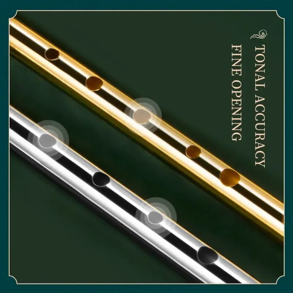 6 Holes C/D Key Irish Whistle  - огляд і ціна Musical Instrument Easy To Learn