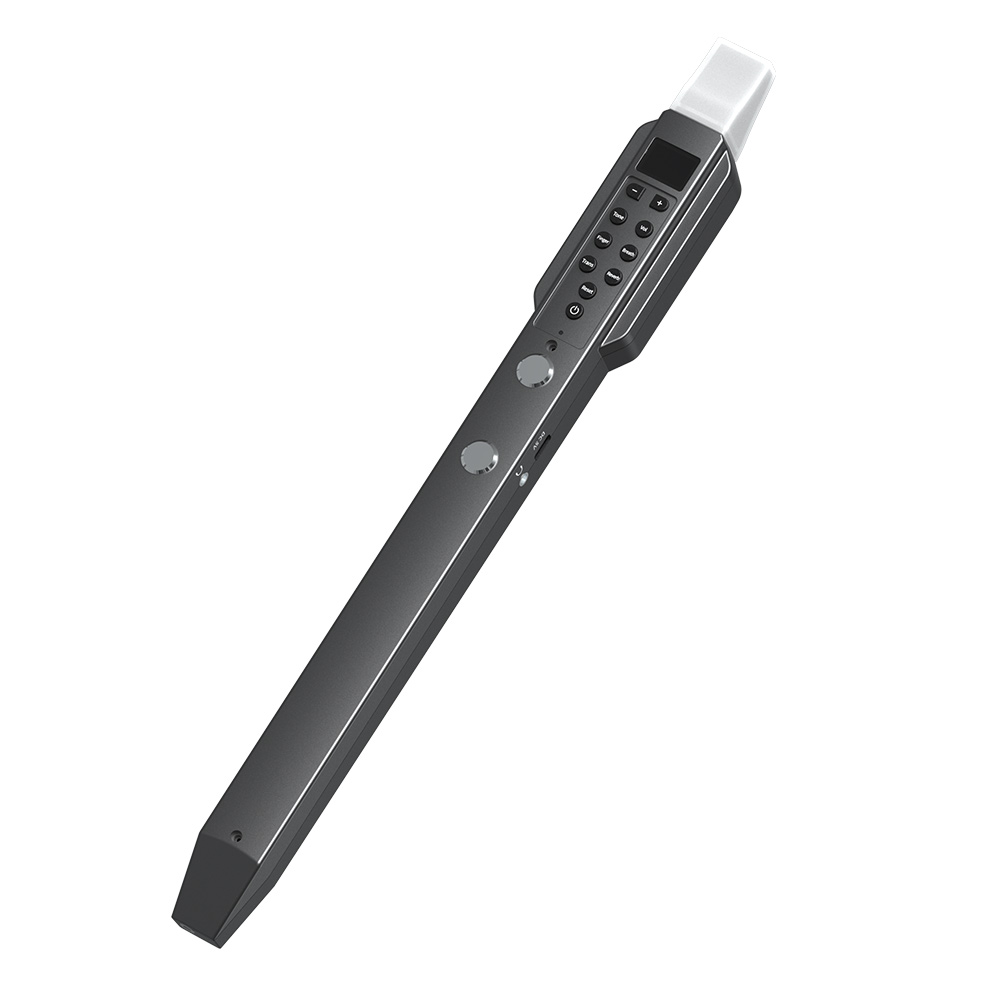 Small Transverse Flute Electro - огляд і ціна Musical Instrument A Recorder