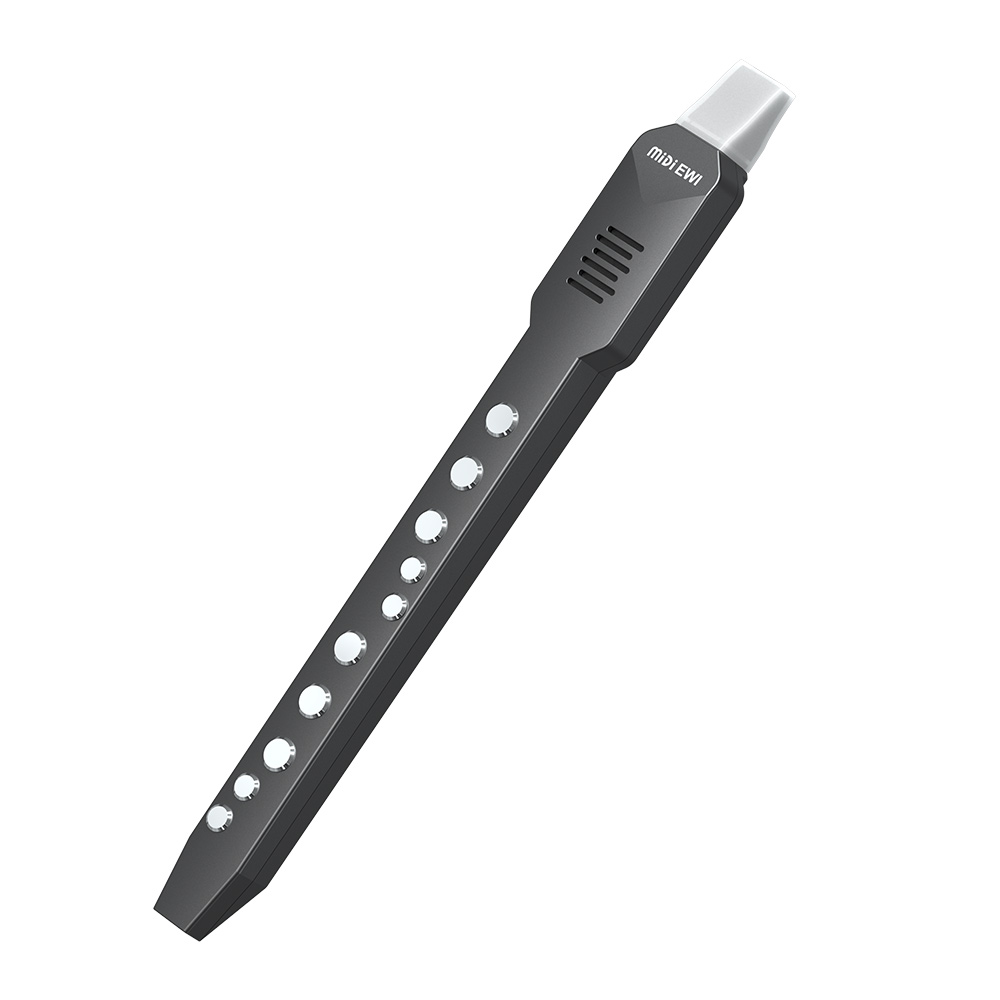 Small Transverse Flute Electro - огляд і ціна Musical Instrument A Recorder