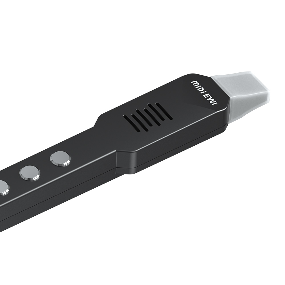 Small Transverse Flute Electro - огляд і ціна Musical Instrument A Recorder