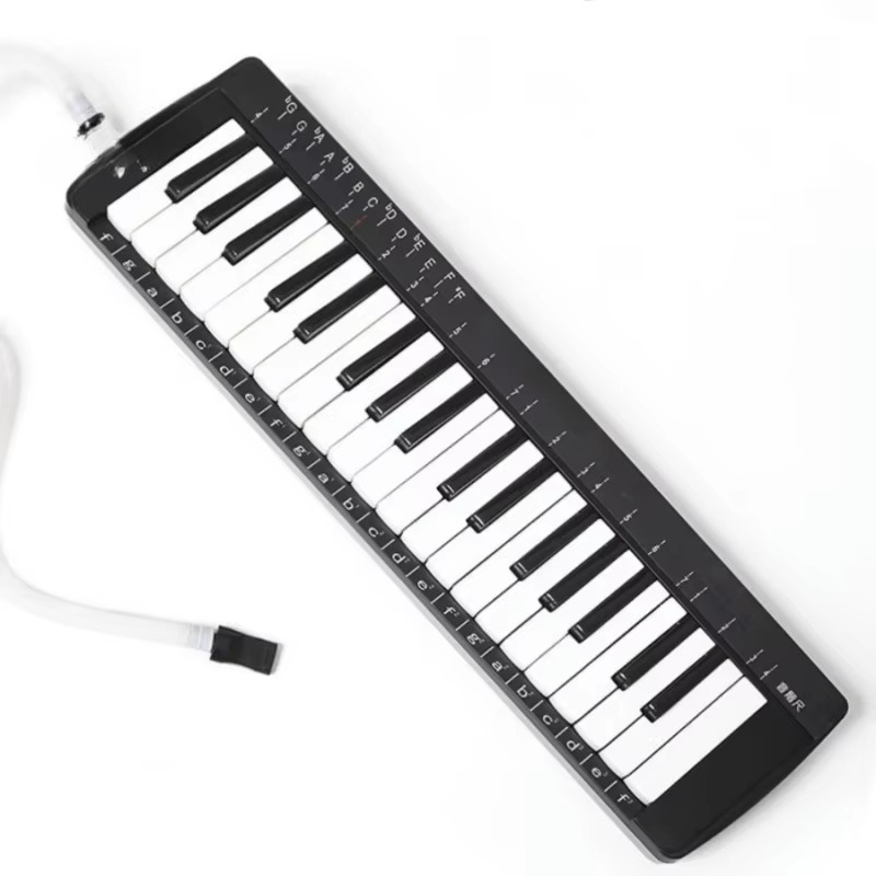 37 Key Professional Melodica S - огляд і ціна Musical Instrument Melodica