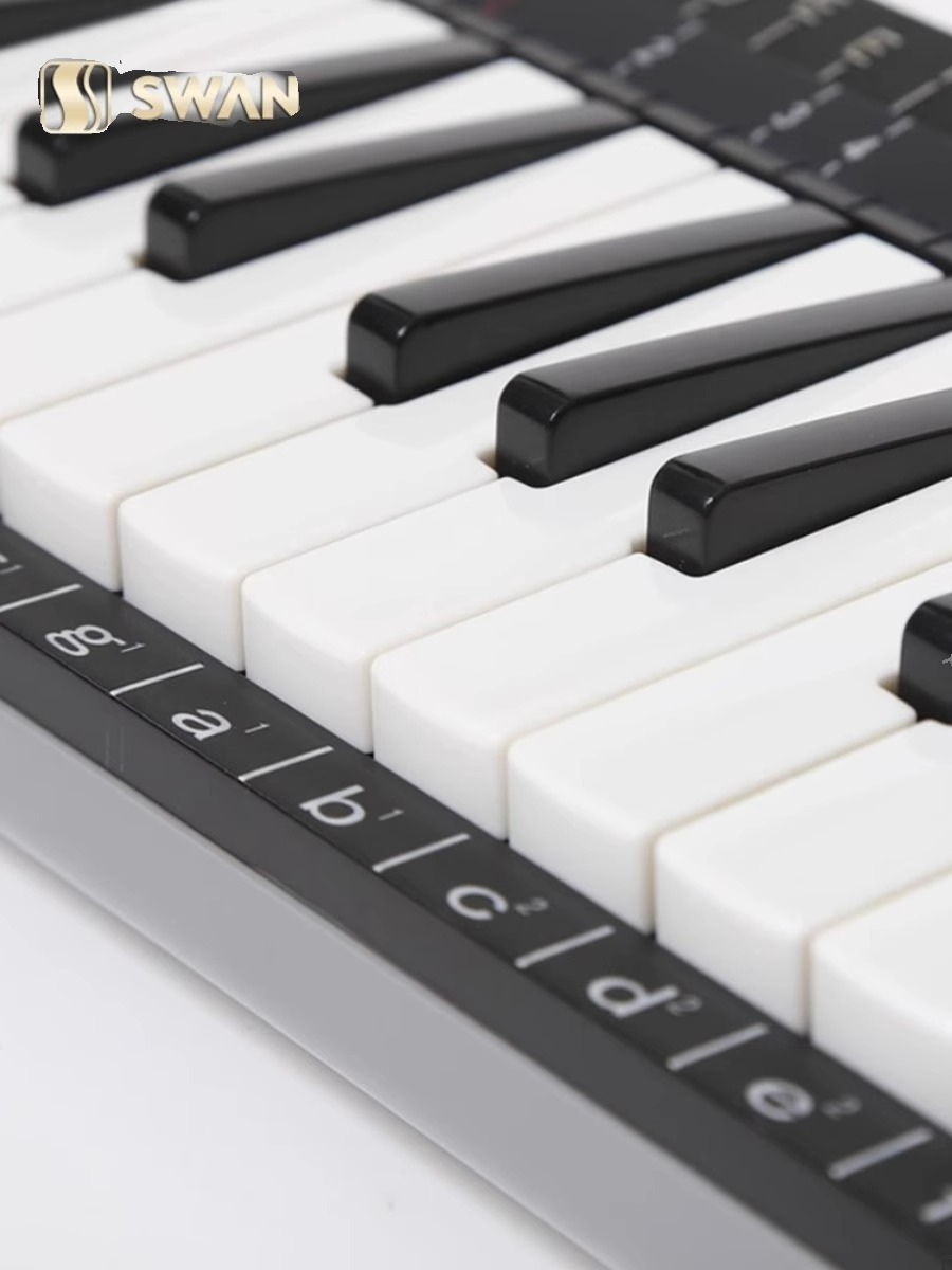 37 Key Professional Melodica S - огляд і ціна Musical Instrument Melodica